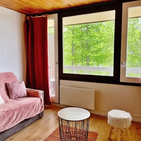 Apartment Au Pied Des Pistes Avec Terrasse *